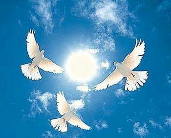 mmexport1389640767522.jpeg image